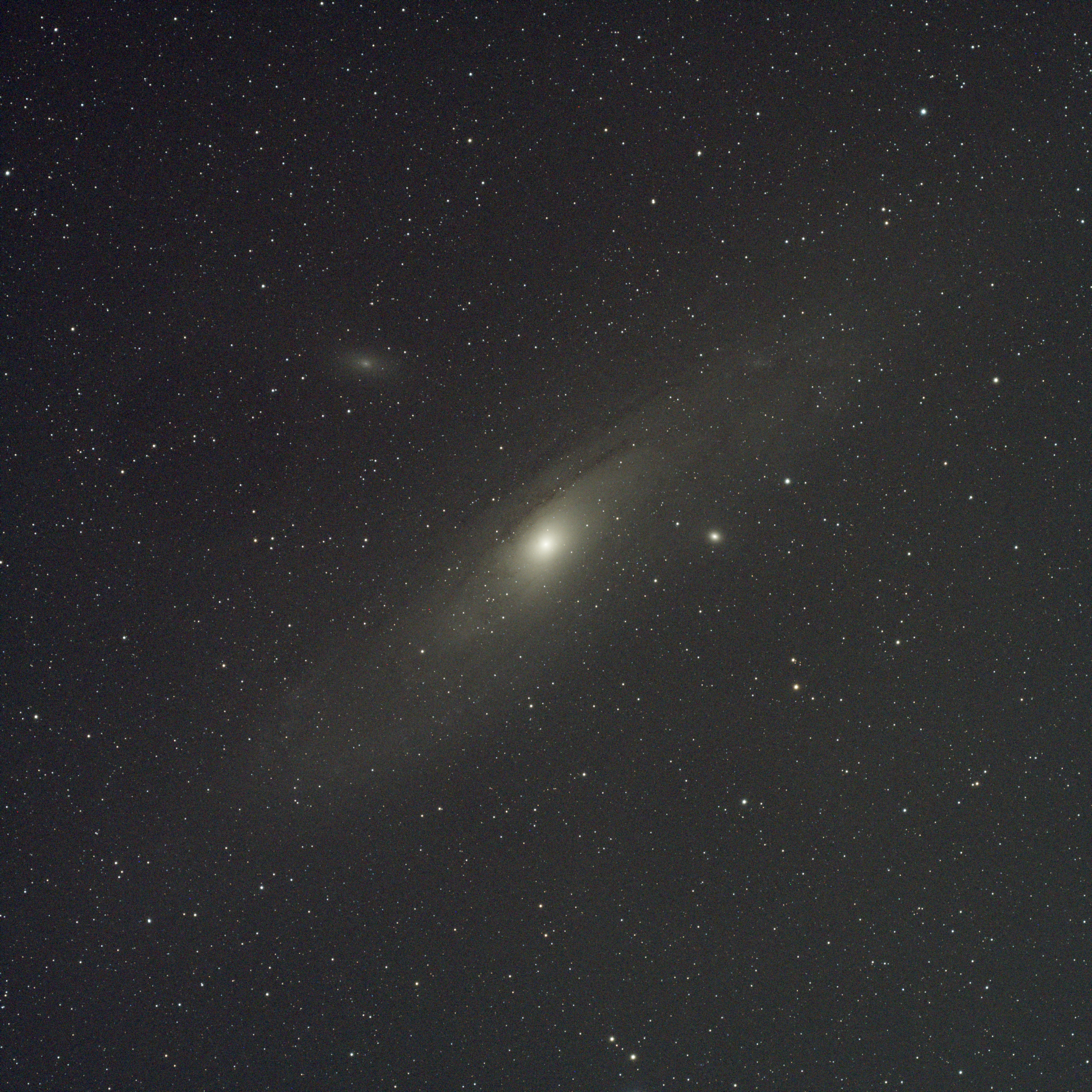 M31